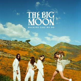 <i>Walking Like We Do</i> 2020 studio album by The Big Moon