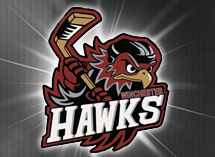 <span class="mw-page-title-main">Winchester Hawks</span> Ice hockey team in Ontario, Canada