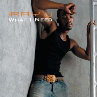 <span class="mw-page-title-main">What I Need (Ray J song)</span> 2006 single by Ray J