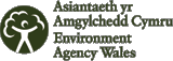 File:Asiantaeth yr Amgylchedd Cymru.png