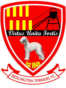 <span class="mw-page-title-main">Bedlington Terriers F.C.</span> Association football club in England