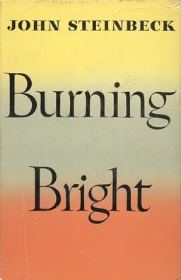 BurningBright.jpg