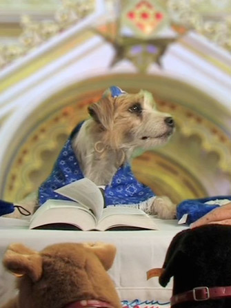 File:Elvis-Arf-Torah.jpg