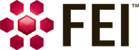 File:FEI-LOGO.png