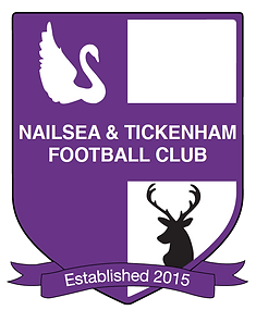 <span class="mw-page-title-main">Nailsea & Tickenham F.C.</span> Football club