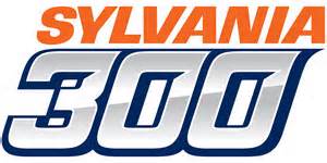<span class="mw-page-title-main">2014 Sylvania 300</span> Motor car race