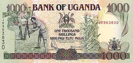 the currency of shillings