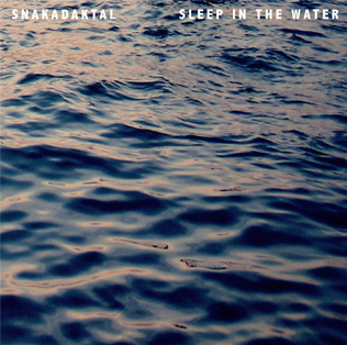 <i>Sleep in the Water</i> 2013 studio album by Snakadaktal