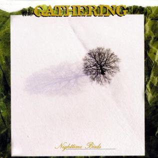 <i>Nighttime Birds</i> 1997 studio album by The Gathering