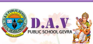 <span class="mw-page-title-main">DAV Public School, Gevra</span> School in Chhattisgarh, India