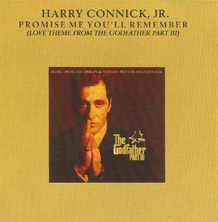 Promise Me Youll Remember (Love Theme from <i>The Godfather Part III</i>) 1990 single by Harry Connick Jr.