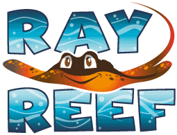 Ray Reef Ray exhibit at Sea World in Australia