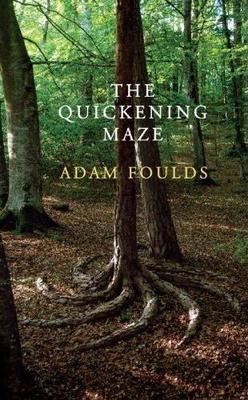 <i>The Quickening Maze</i> 2009 historical fiction novel by Adam Foulds