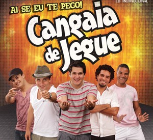 <span class="mw-page-title-main">Ai Se Eu Te Pego</span> 2008 Brazilian song