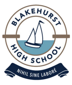 <span class="mw-page-title-main">Blakehurst High School</span> School in Blakehurst, New South Wales, Australia