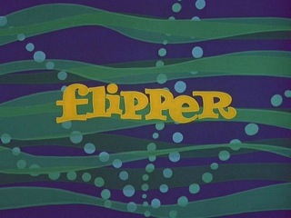 File:Flipper Title Screen.JPG