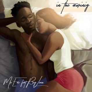 <span class="mw-page-title-main">In the Morning (Mr Eazi song)</span> 2017 single by Mr Eazi