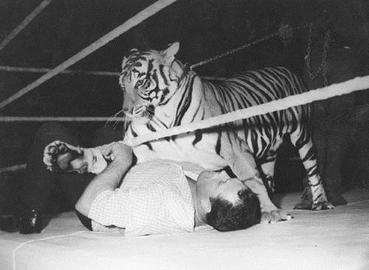 Animals In Professional Wrestling Wikipedia - 