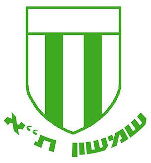 <span class="mw-page-title-main">Shimshon Tel Aviv F.C.</span> Israeli football club