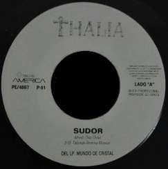 <span class="mw-page-title-main">Sudor</span> 1991 song by Thalía