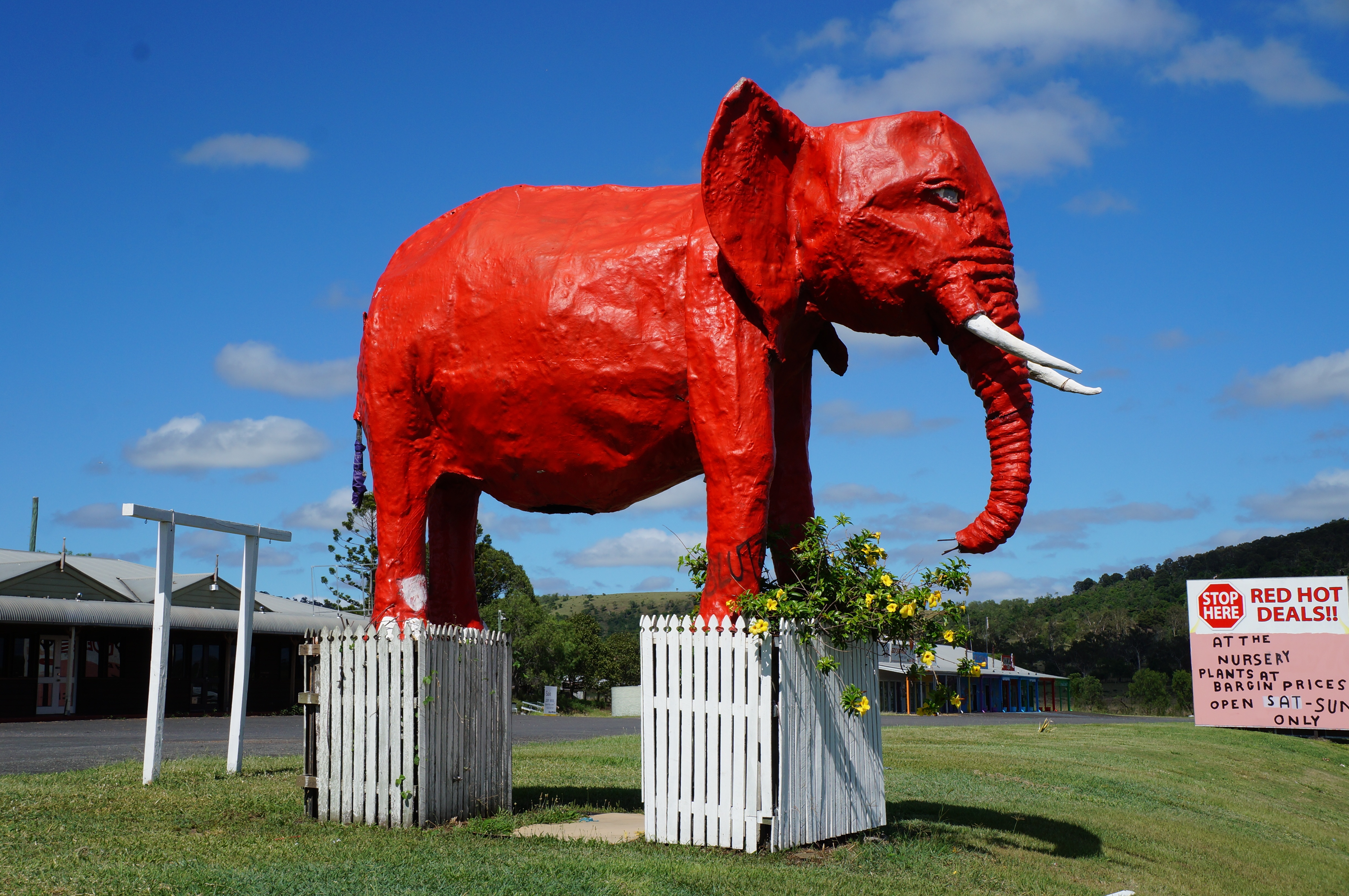 https://upload.wikimedia.org/wikipedia/en/d/d2/The_Big_Red_Elephant.jpg