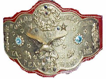 WWF Women's Tag Team Championship - Wikipedia