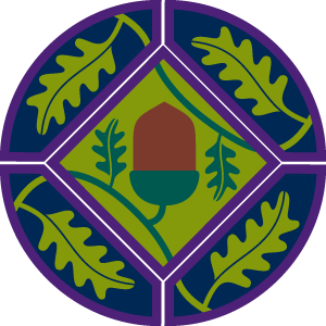 Young Leaders (The Scout Association)