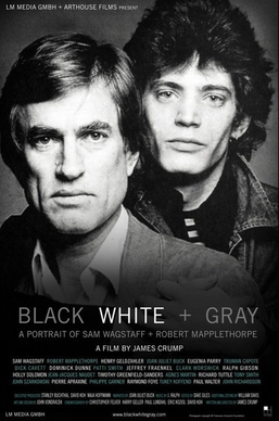 <i>Black White + Gray</i> 2007 documentary film