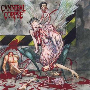 <i>Bloodthirst</i> 1999 studio album by Cannibal Corpse