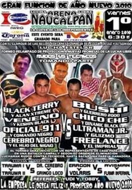 <span class="mw-page-title-main">Proyeccion a Nuevas Promesas (2010)</span> 2010 International Wrestling Revolution Group event