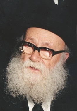 <span class="mw-page-title-main">Dovid Povarsky</span>