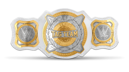 File:WWE Women's Tag Team Championship.png