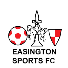 Easington Sports F.C. Association football club in England