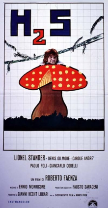 <i>H2S</i> (film) 1969 Italian film