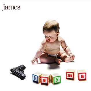 <i>Hey Ma</i> (album) 2008 studio album by James