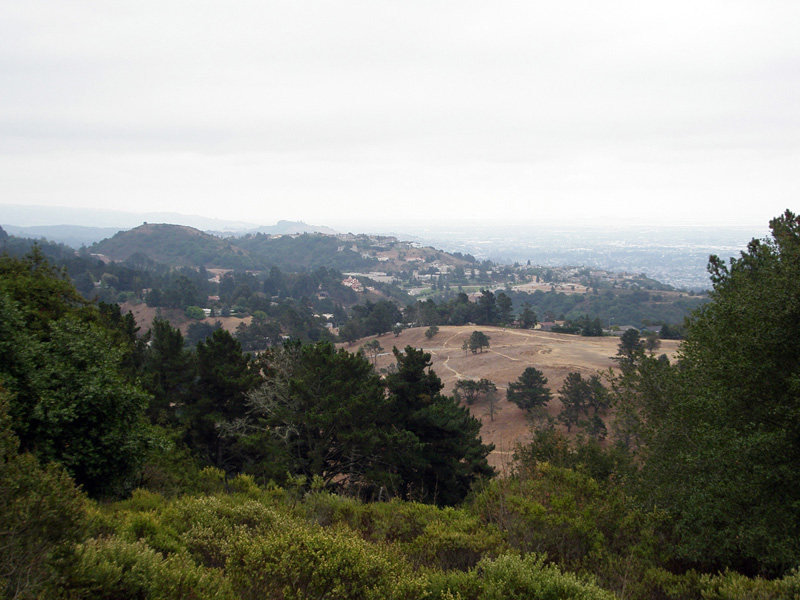 File:View of Oakland Hills from Chabot Space & Science Center.jpg