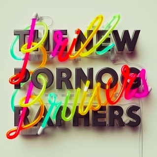 <i>Brill Bruisers</i> 2014 studio album by the New Pornographers