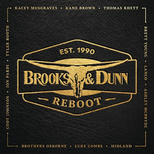 <i>Reboot</i> (Brooks & Dunn album) 2019 studio album by Brooks & Dunn