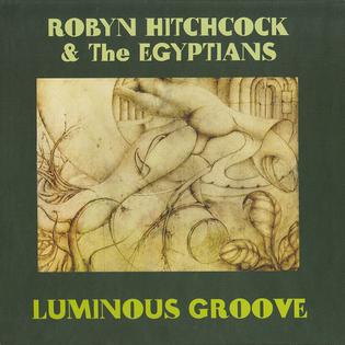 <i>Luminous Groove</i> 2008 box set by Robyn Hitchcock and the Egyptians