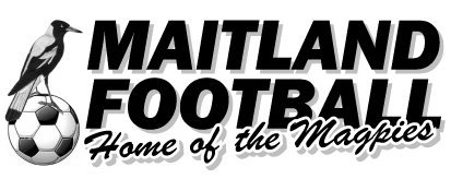 File:Maitland FC logo.jpg
