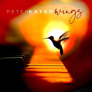 <i>Wings</i> (Peter Kater album) 2019 studio album by Peter Kater