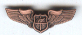 File:FAA-Wings-P1.jpg