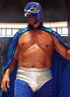 <span class="mw-page-title-main">Lizmark</span> Mexican professional wrestler (1950 – 2015)