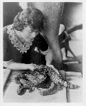 <span class="mw-page-title-main">Grace Olive Wiley</span> American herpetologist