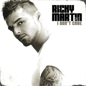 <span class="mw-page-title-main">I Don't Care (Ricky Martin song)</span> 2005 single by Ricky Martin featuring Fat Joe and Amerie or Debi Nova