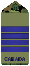 File:Air Force olive Col.png