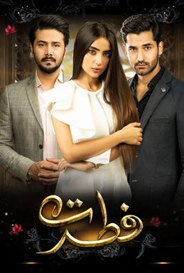 <i>Fitrat</i> (TV series) 2020 Pakistani television series