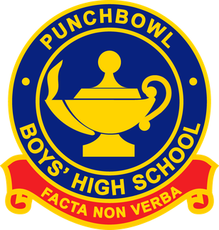 <span class="mw-page-title-main">Punchbowl Boys High School</span> School in Punchbowl, New South Wales, Australia
