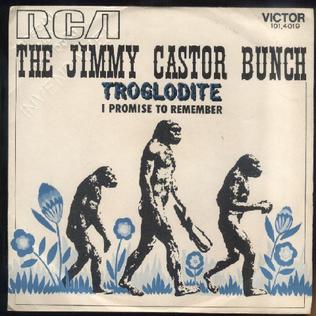<span class="mw-page-title-main">Troglodyte (Cave Man)</span> 1972 single by Jimmy Castor Bunch