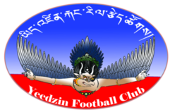 Yeedzin FC association football club